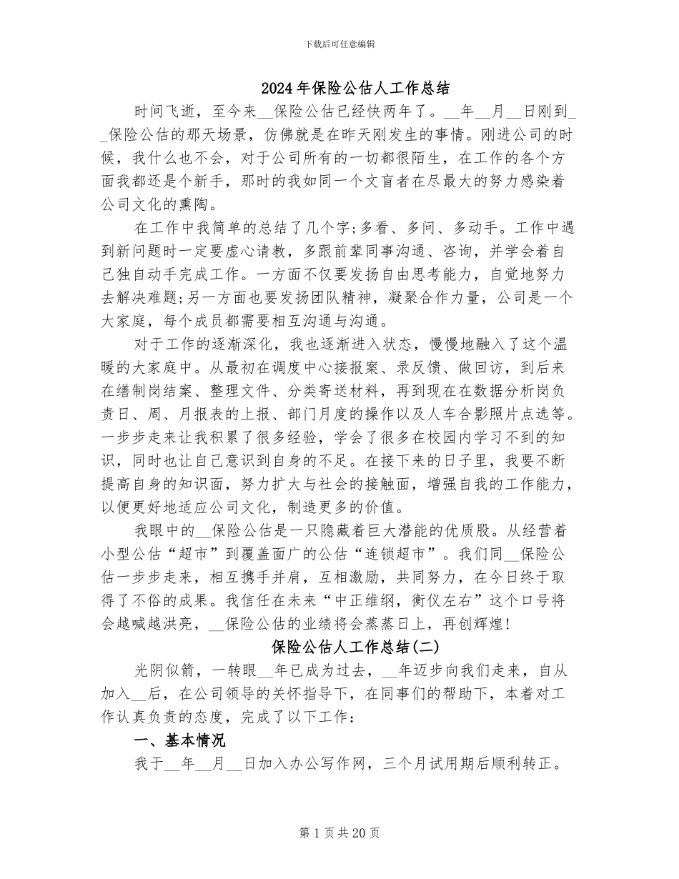 2024年保险公估人工作总结_第1页