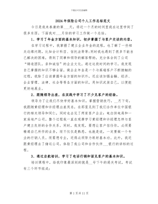 2024年保险公司个人工作总结范文