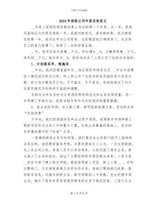 2024年保险公司年度总结范文