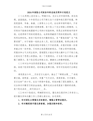 2024年保险公司财务年终总结及明年计划范文