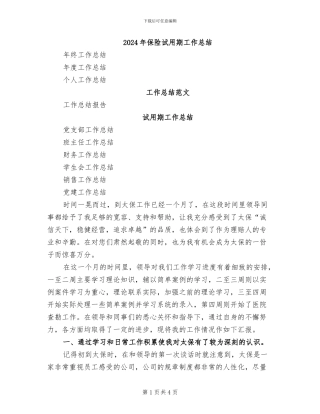 2024年保险试用期工作总结