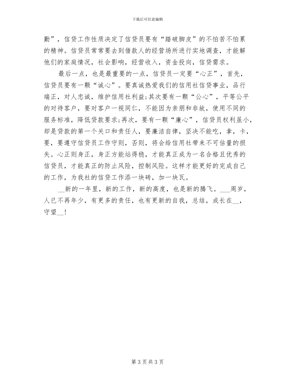 2024年信贷员年度总结_第3页