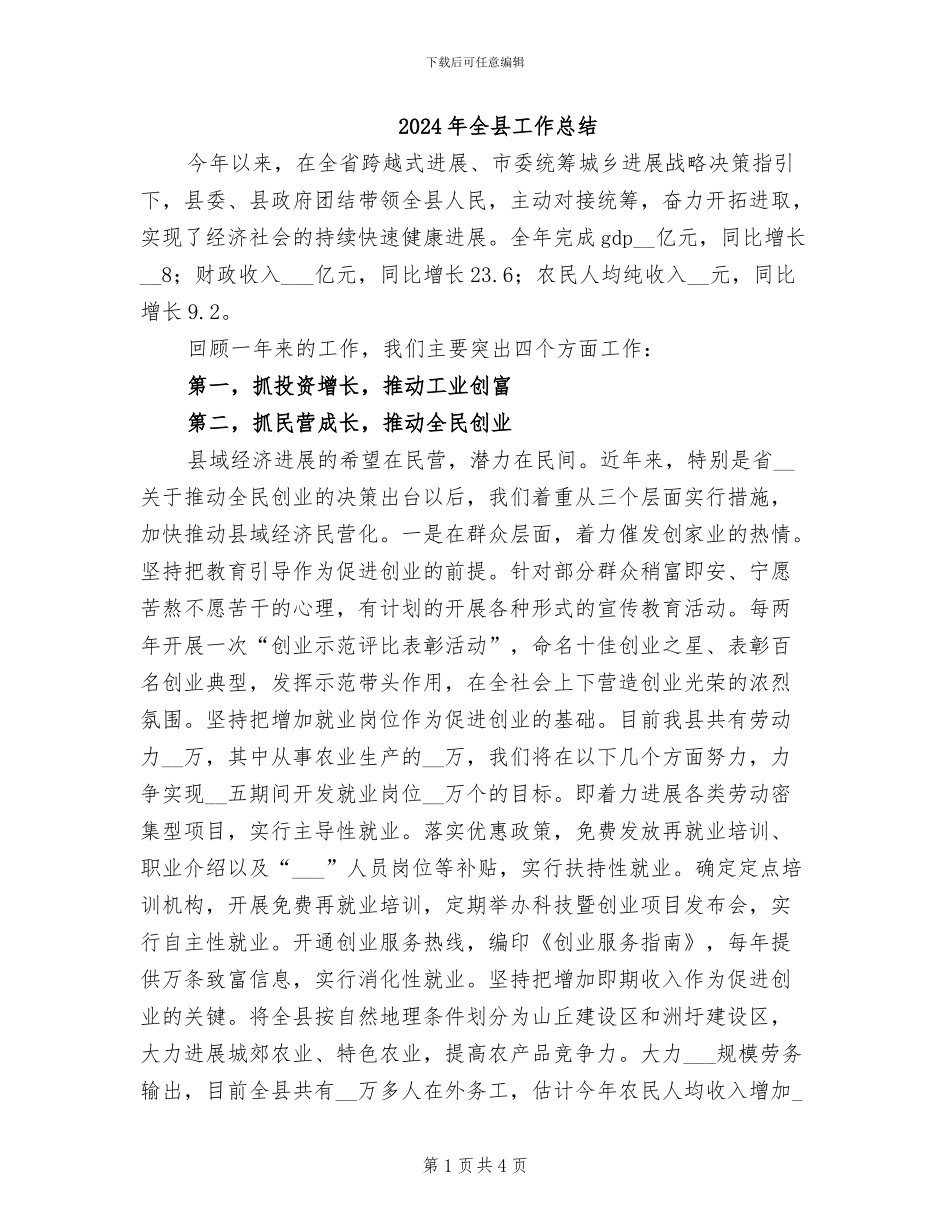 2024年全县工作总结_第1页