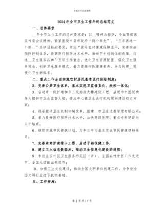 2024年全市卫生工作年终总结范文