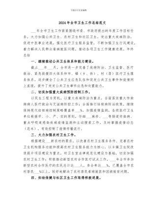 2024年全市卫生工作总结范文
