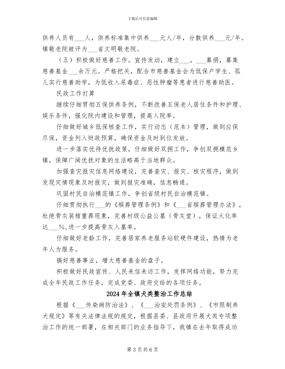 2024年全镇民政工作总结_第3页