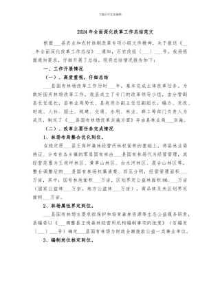 2024年全面深化改革工作总结范文