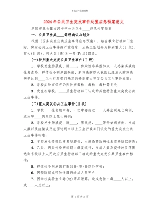 2024年公共卫生突发事件处置应急预案范文