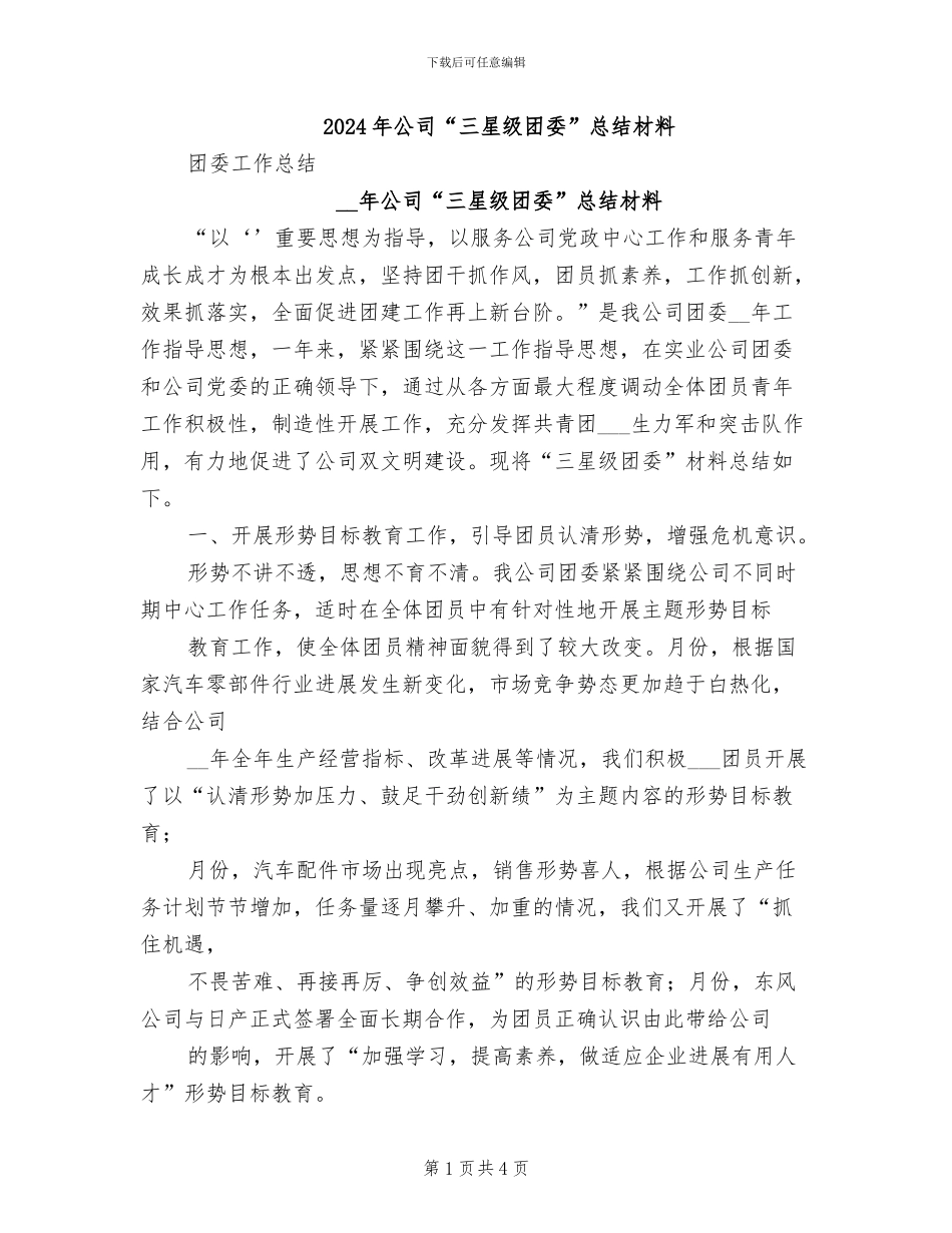 2024年公司“三星级团委”总结材料_第1页