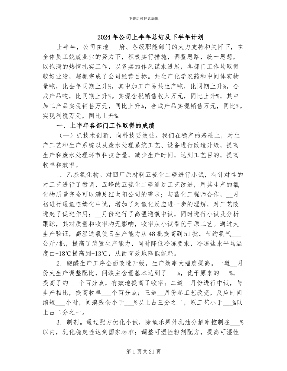 2024年公司上半年总结及下半年计划_第1页