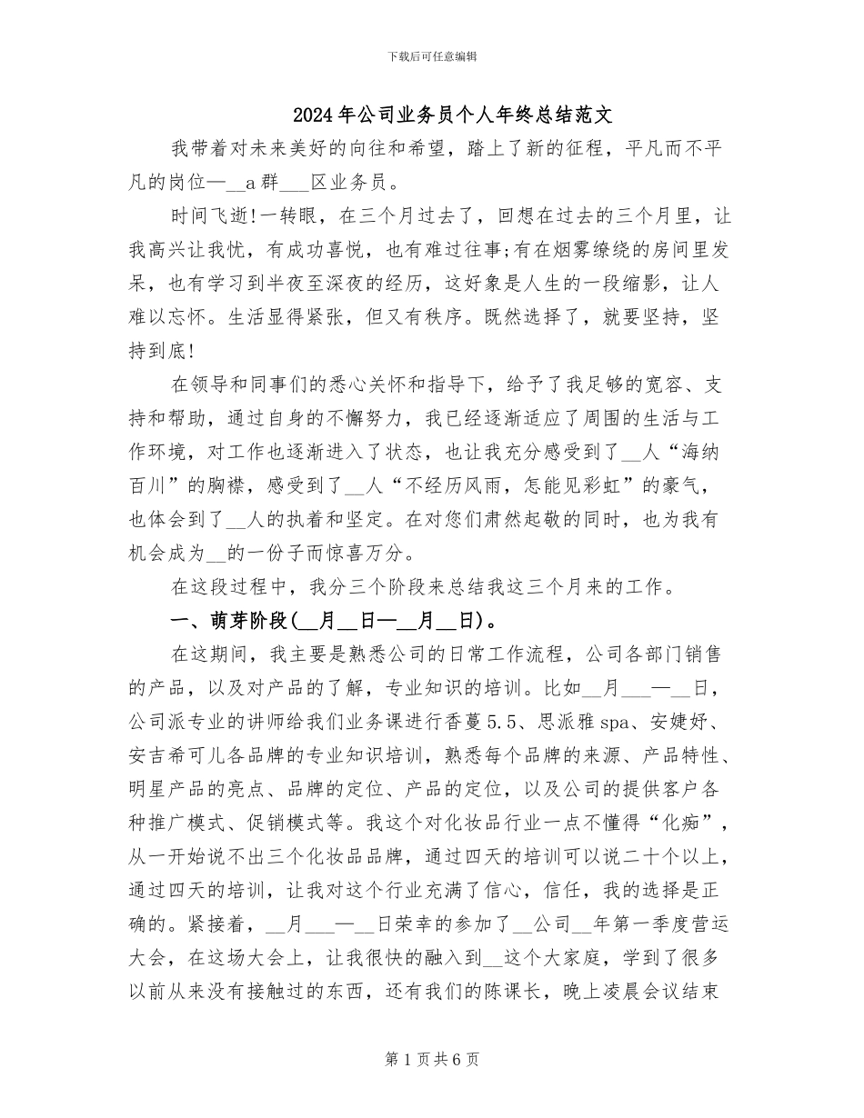 2024年公司业务员个人年终总结范文_第1页