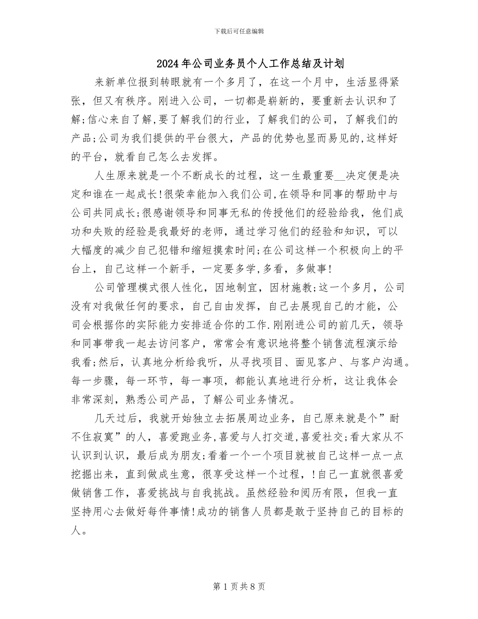 2024年公司业务员个人工作总结及计划_第1页