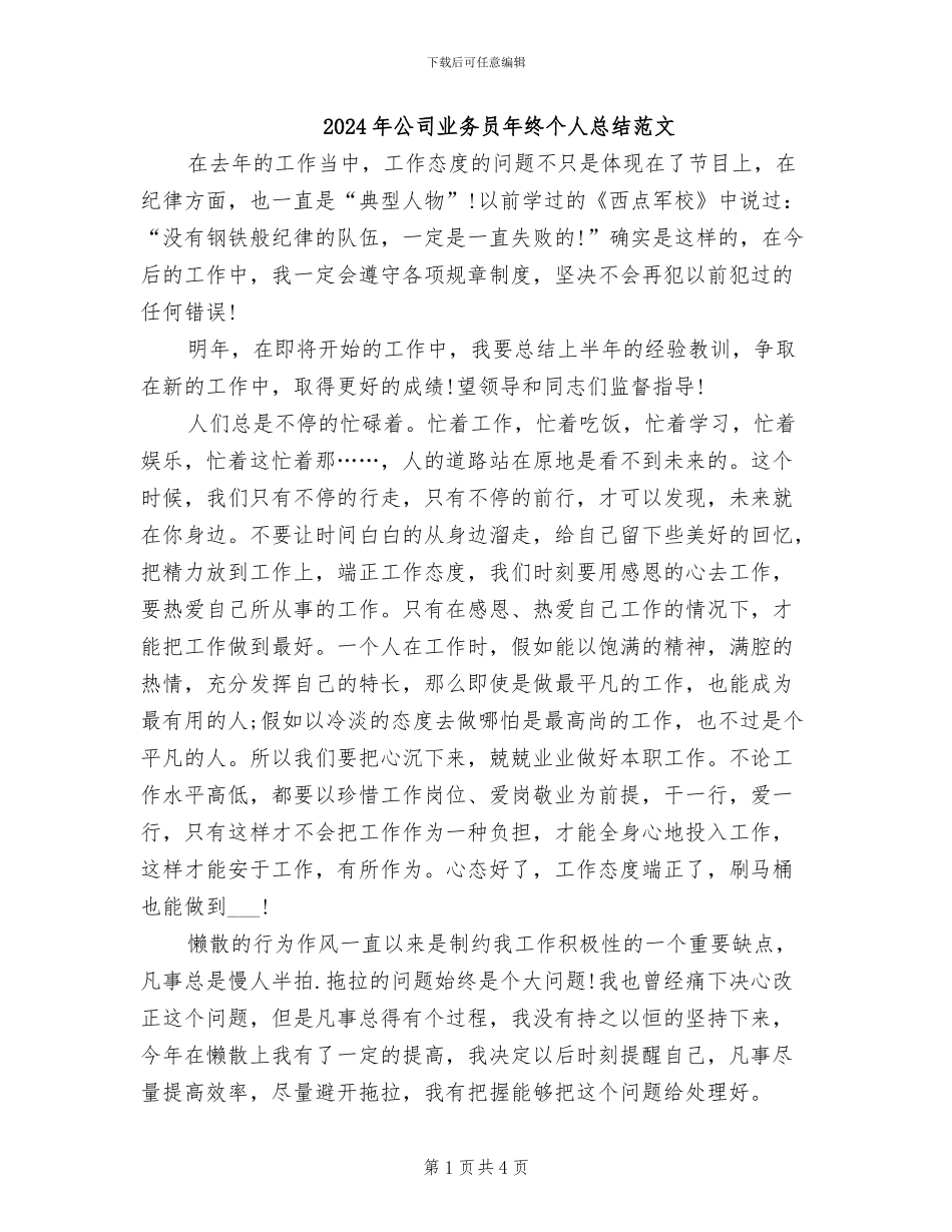 2024年公司业务员年终个人总结范文_第1页