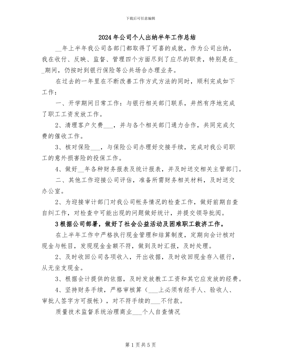 2024年公司个人出纳半年工作总结_第1页