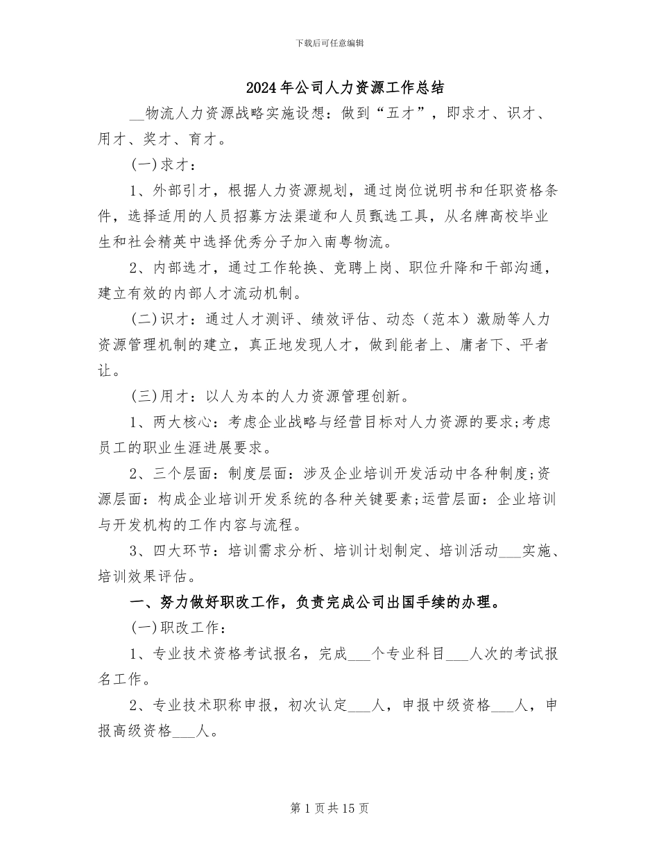2024年公司人力资源工作总结_第1页