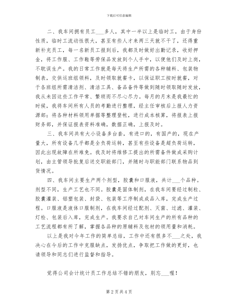 2024年公司会计统计员工作总结_第2页