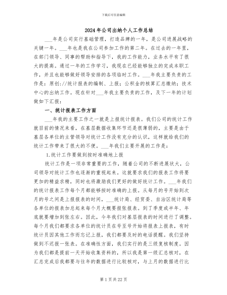 2024年公司出纳个人工作总结_第1页