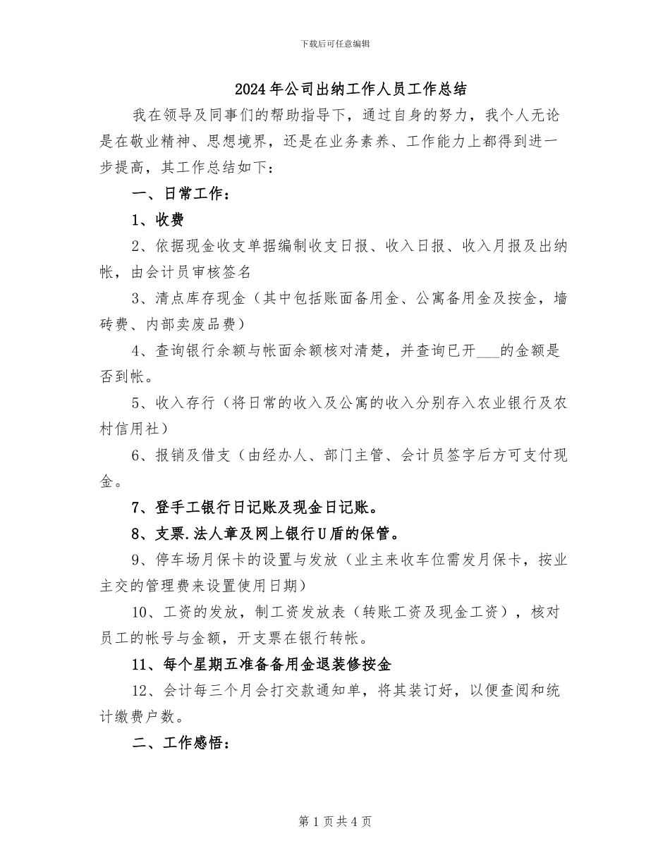 2024年公司出纳工作人员工作总结_第1页
