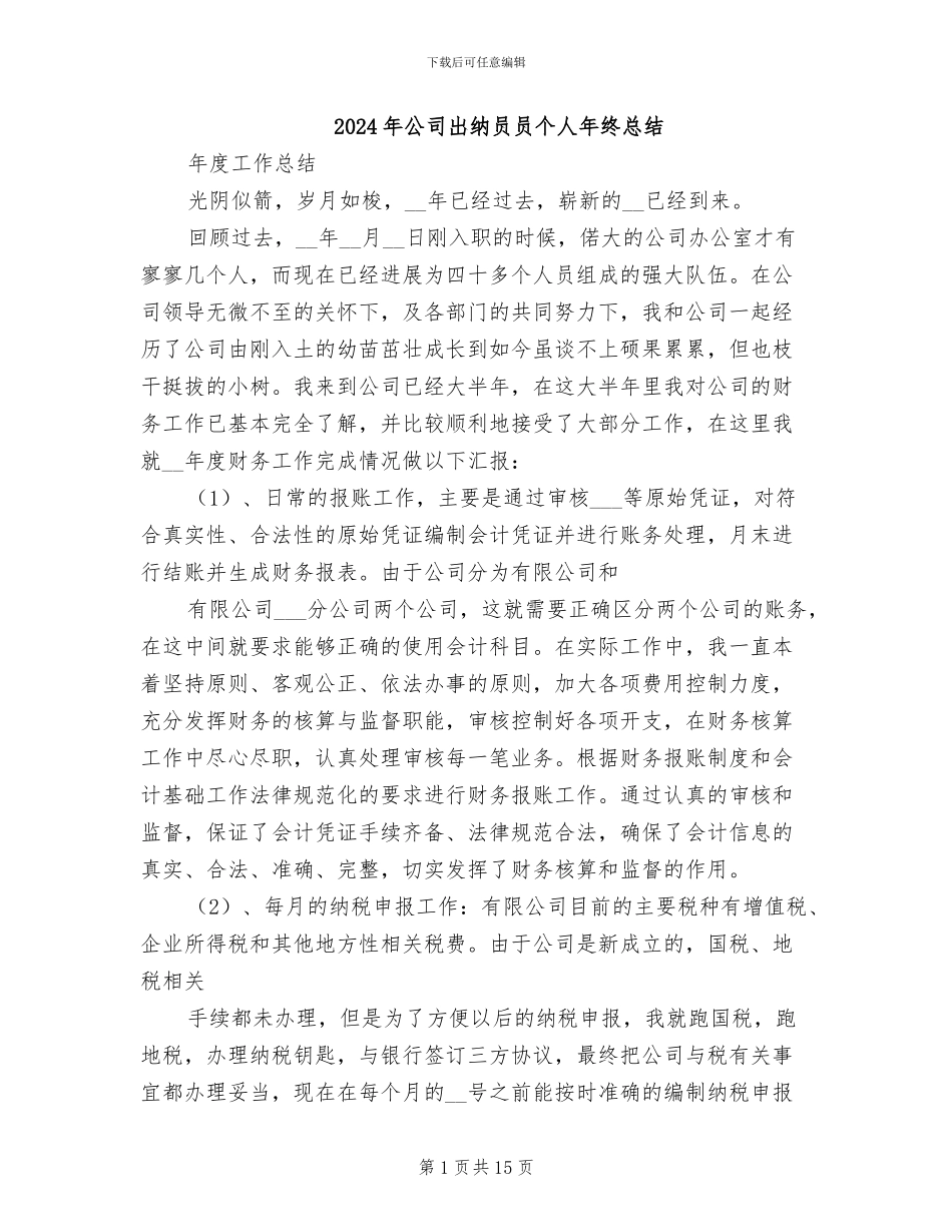 2024年公司出纳员员个人年终总结_第1页