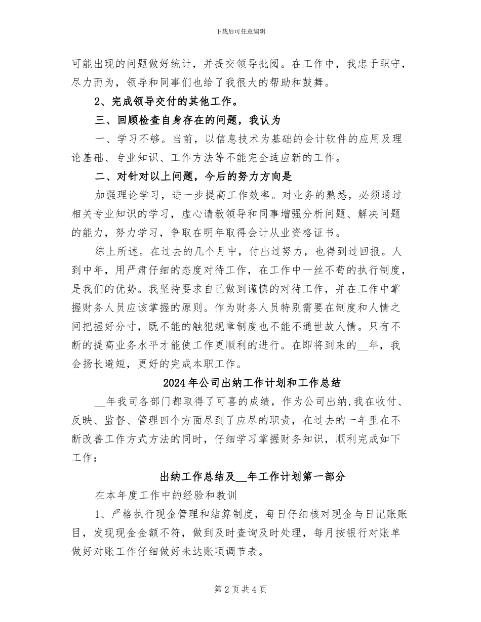 2024年公司出纳工作总结范文_第2页