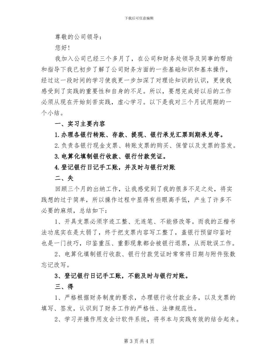 2024年公司出纳试用期工作总结报告_第3页