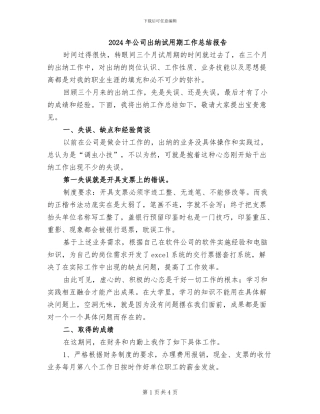 2024年公司出纳试用期工作总结报告