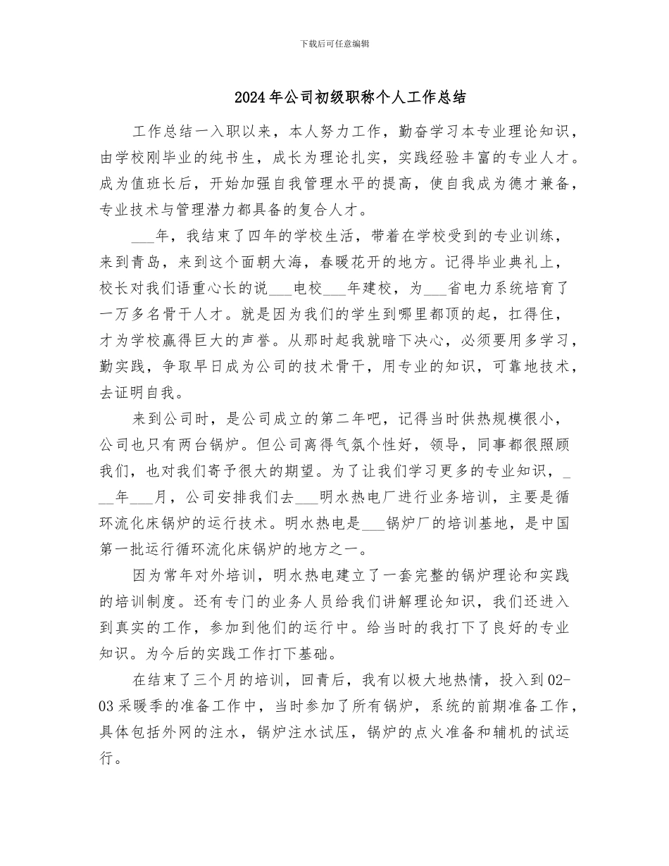 2024年公司初级职称个人工作总结_第1页