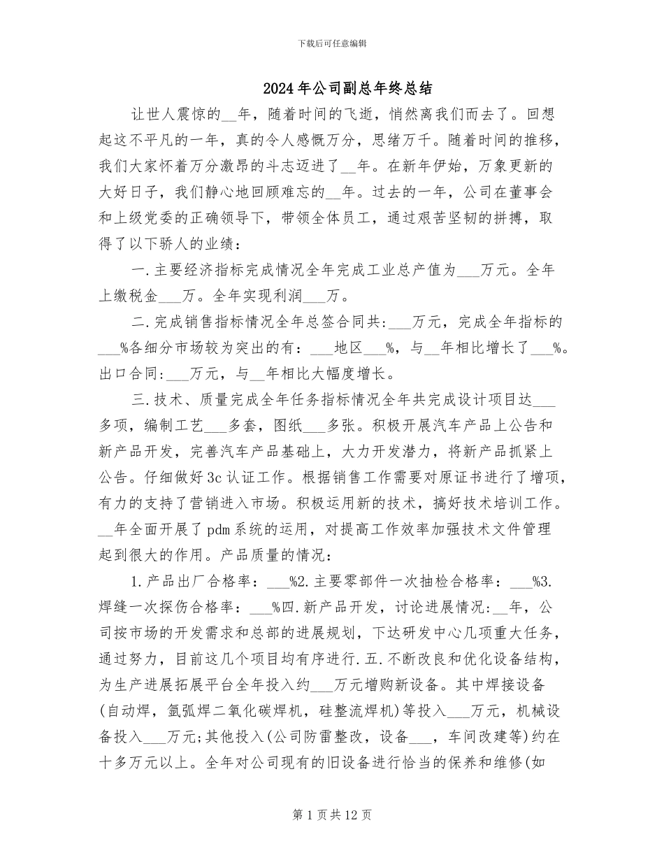 2024年公司副总年终总结_第1页