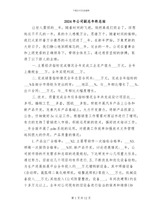 2024年公司副总年终总结
