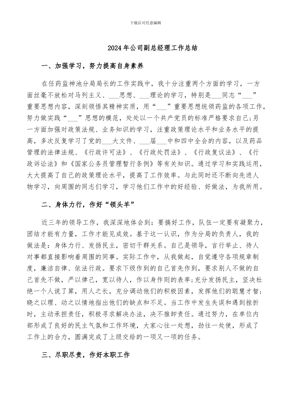 2024年公司副总经理工作总结_第1页