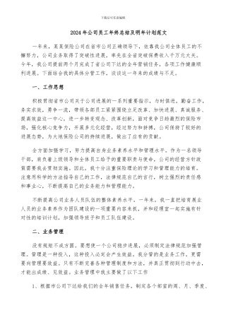 2024年公司员工年终总结及明年计划范文
