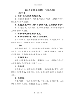 2024年公司员工试用期一个月工作总结
