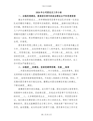 2024年公司团总支工作小结
