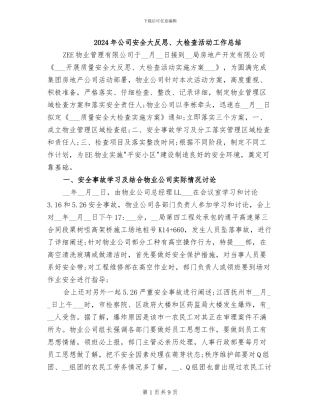 2024年公司安全大反思、大检查活动工作总结