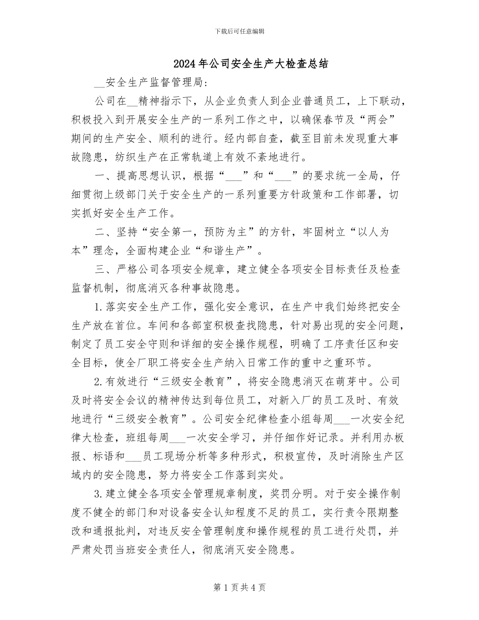 2024年公司安全生产大检查总结_第1页
