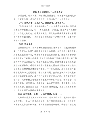 2024年公司实习生个人工作总结