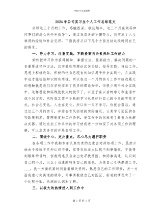 2024年公司实习生个人工作总结范文