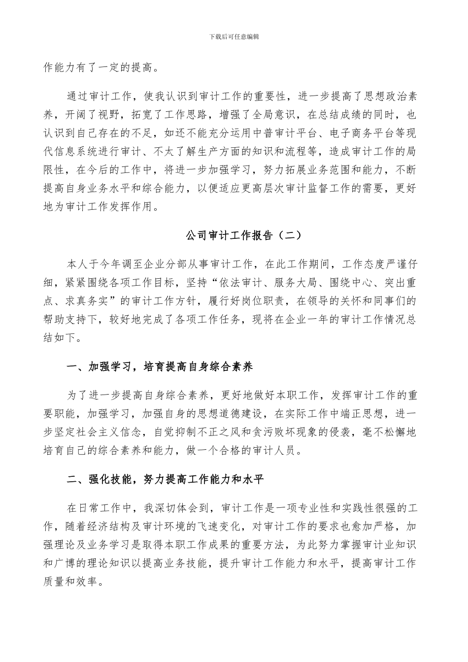 2024年公司审计个人年度工作总结_第2页