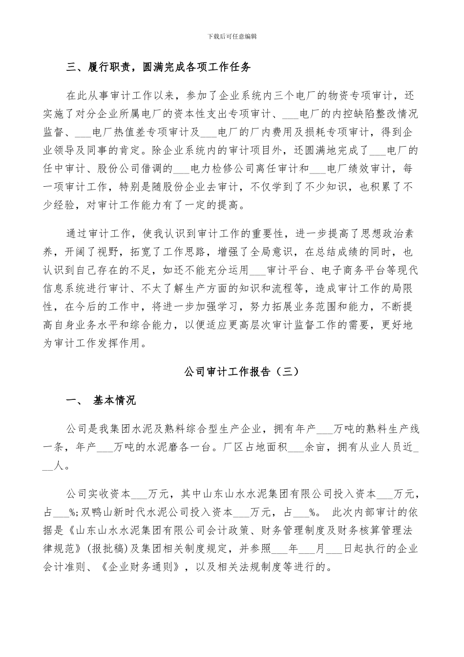 2024年公司审计个人年度工作总结_第3页