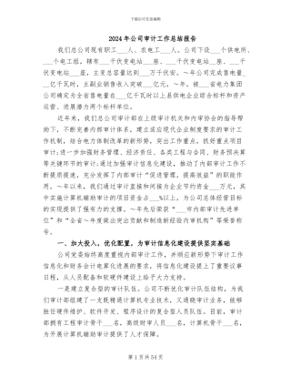 2024年公司审计工作总结报告