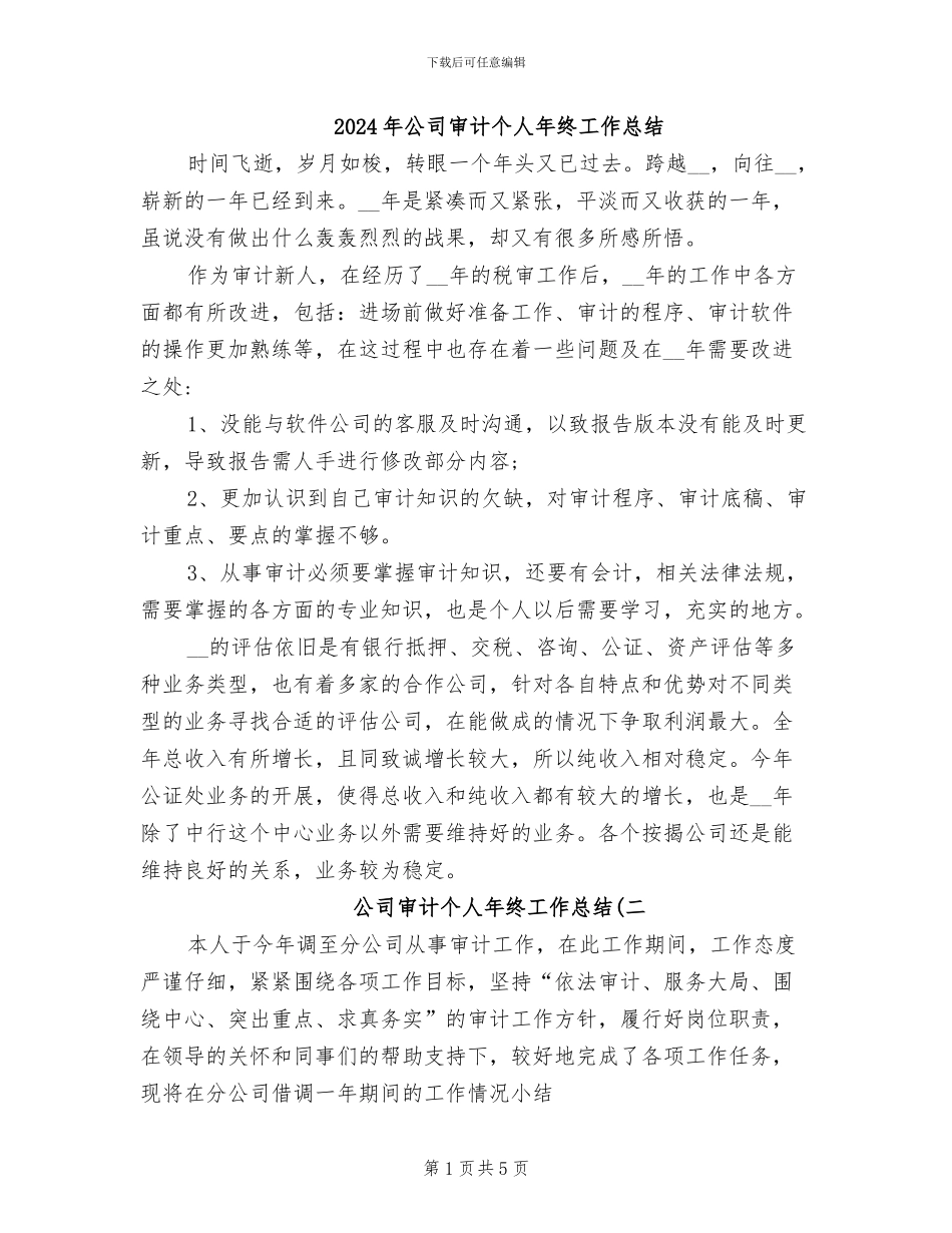 2024年公司审计个人年终工作总结_第1页