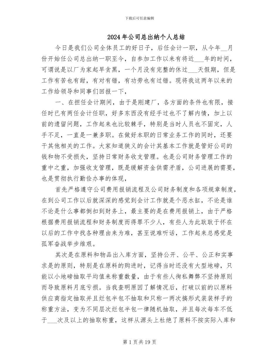 2024年公司总出纳个人总结_第1页