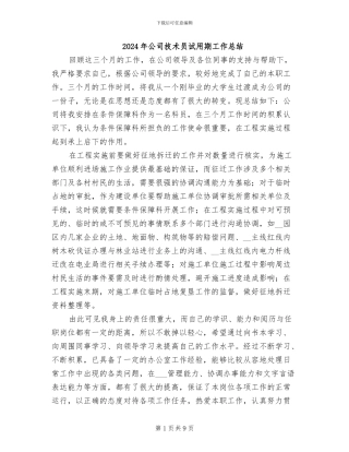 2024年公司技术员试用期工作总结