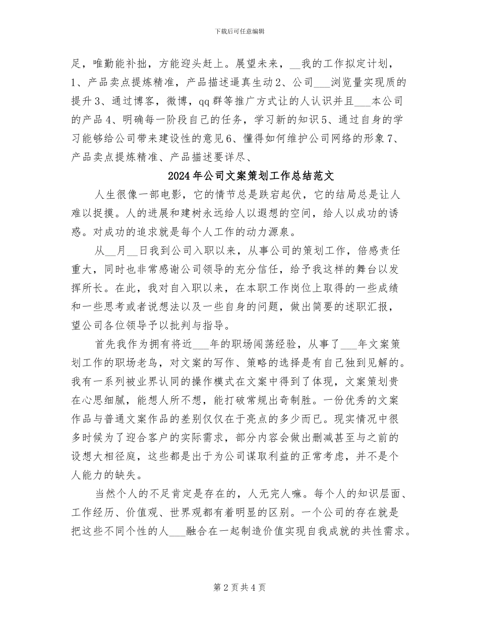 2024年公司文案策划工作总结_第2页