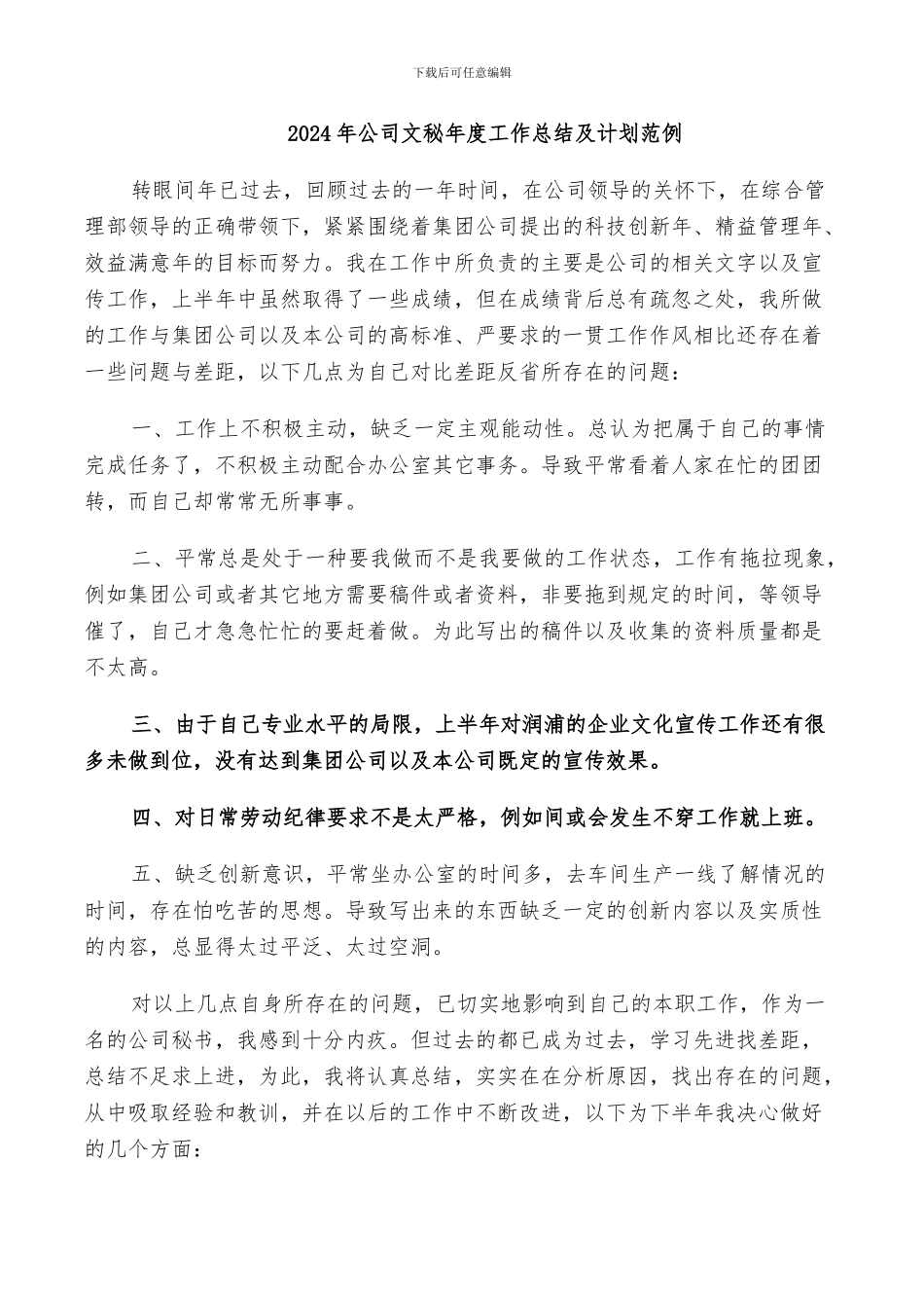 2024年公司文秘年度工作总结及计划范例_第1页