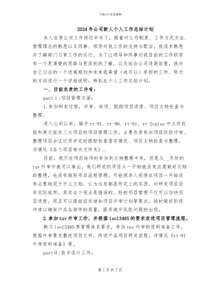 2024年公司新人个人工作总结计划
