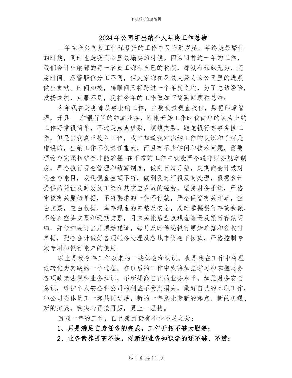 2024年公司新出纳个人年终工作总结_第1页