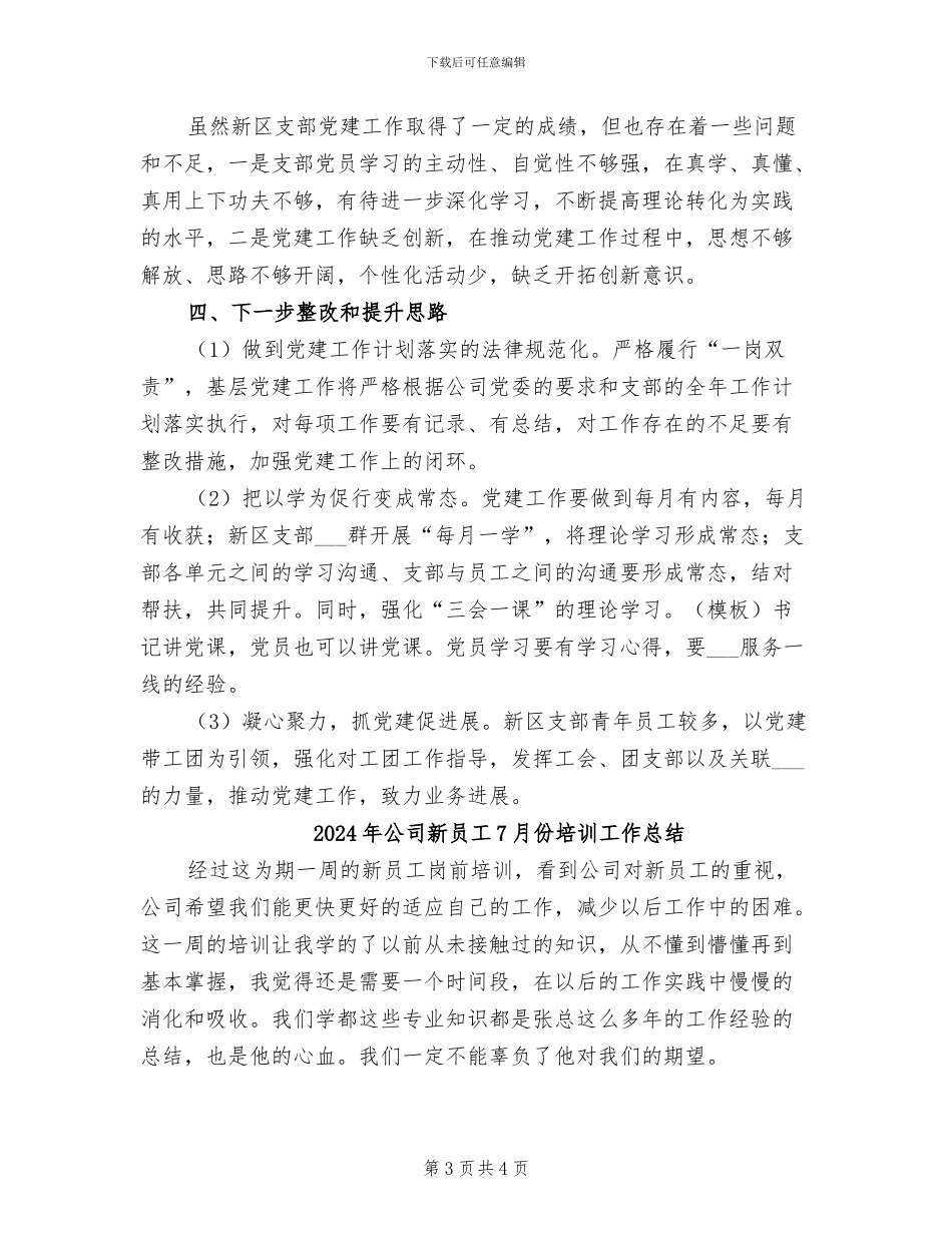 2024年公司新区支部年度工作总结_第3页