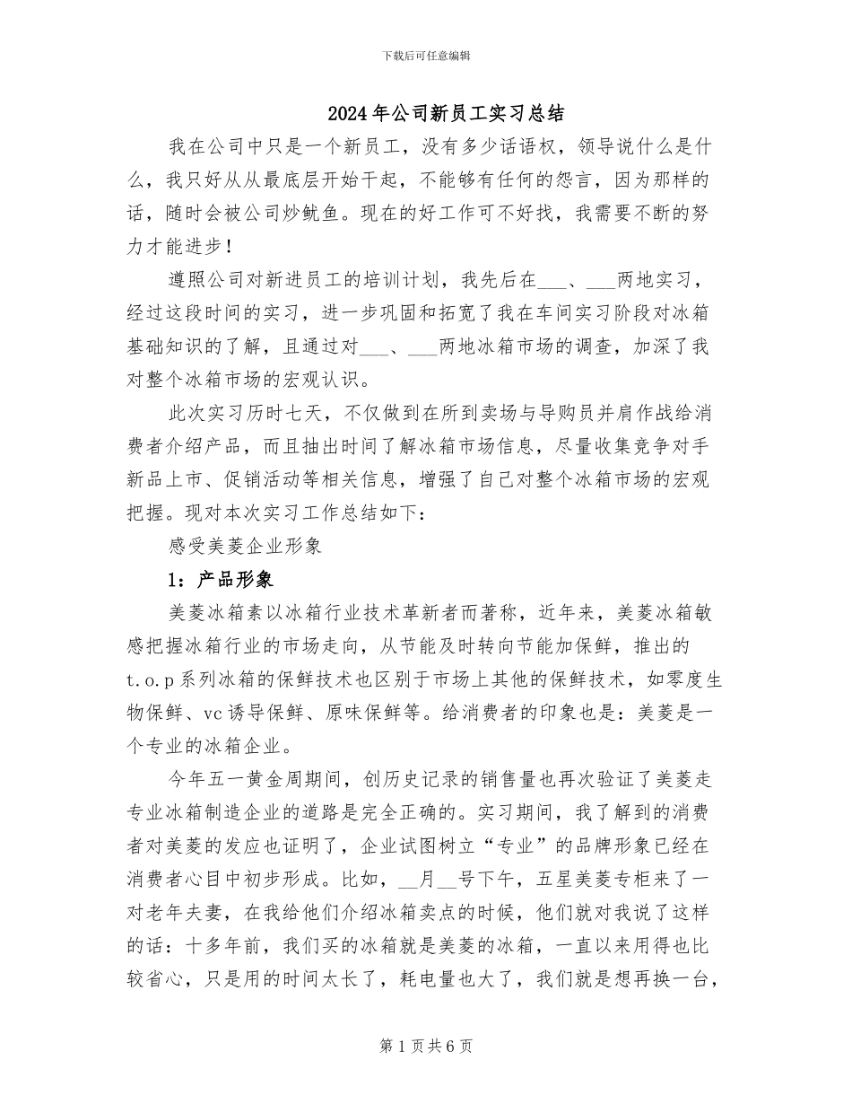 2024年公司新员工实习总结_第1页
