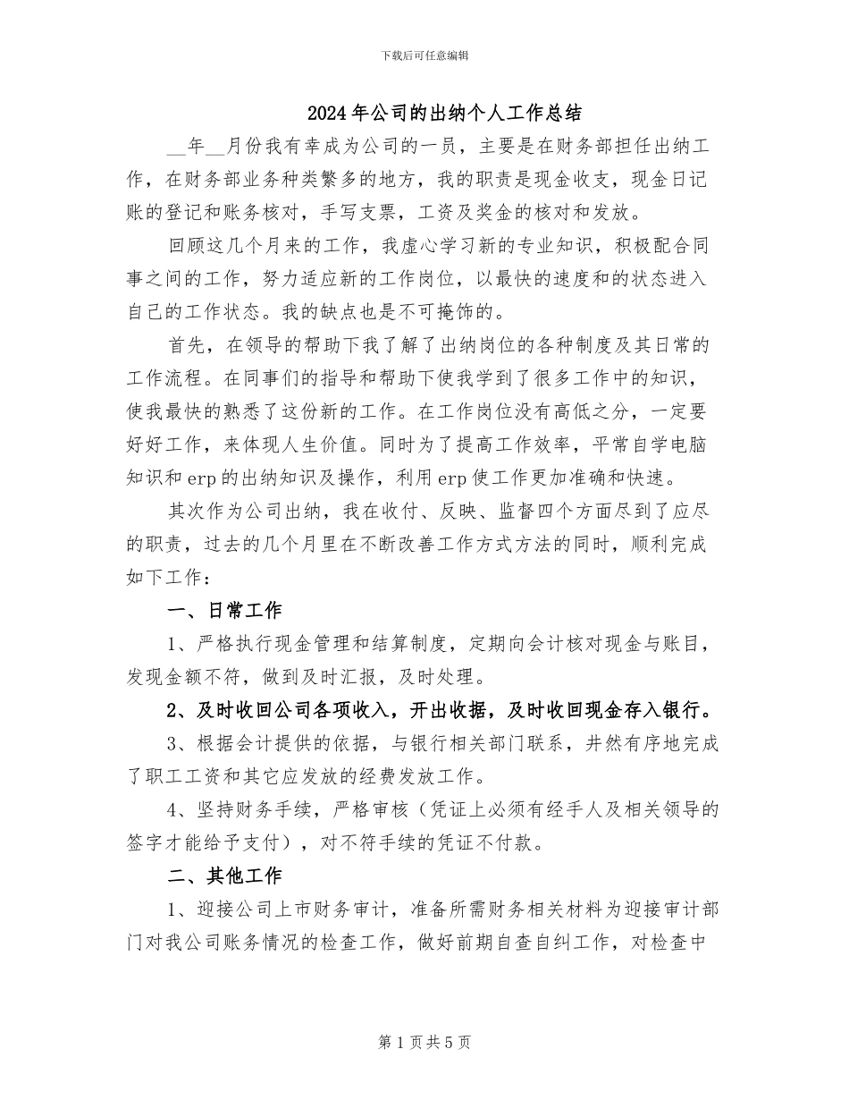 2024年公司的出纳个人工作总结_第1页